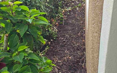 Photo of Beverly L.'s yard after getting tree care in Daytona Beach, FL