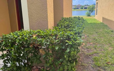 Photo of Eric B.'s yard after getting landscaping in Ruskin, FL