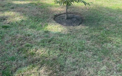 Photo of Jason W.'s yard after getting landscaping in North Dartmouth, MA