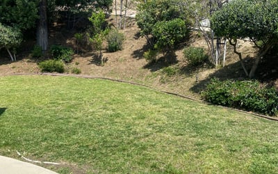 Photo of Virginia N.'s yard after getting landscaping in Malibu, CA