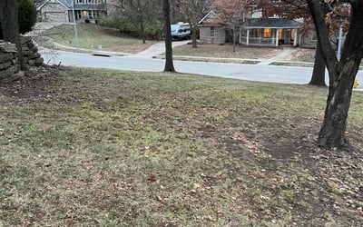 Photo of James R.'s yard after getting tree care in Grandview, MO