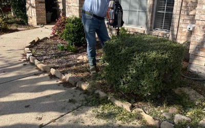 Photo of Jacqwan G.'s yard after getting tree care in Dallas, TX