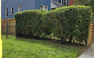 Photo of Dorothy S.'s yard after getting landscaping in Bealeton, VA