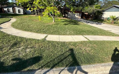 Photo of Sarah M.'s yard after getting landscaping in San Antonio, TX