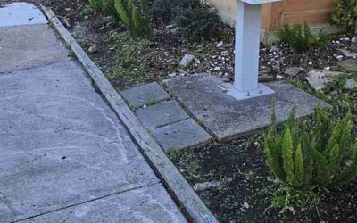 Photo of Chelsea C.'s yard after getting landscaping in Freeport, TX