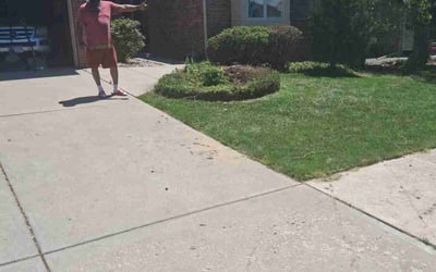 Photo of Ramona P.'s yard after getting landscaping in Littleton, CO