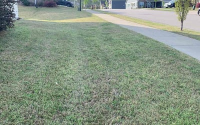Photo of David C.'s yard after getting landscaping in Wake Forest, NC