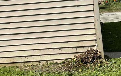 Photo of Lynn P.'s yard after getting landscaping in Jackson, WI
