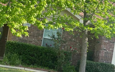 Photo of John R.'s yard after getting landscaping in Princeton, TX