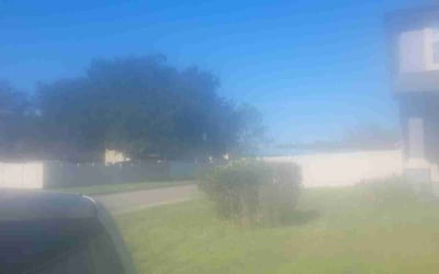 Photo of Rashad G.'s yard after getting landscaping in Penney Farms, FL