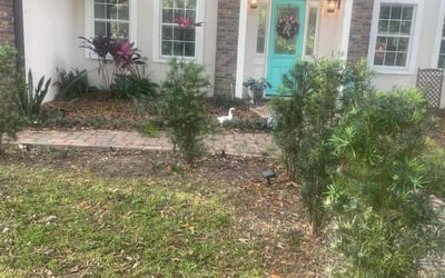 Photo of Brian M.'s yard after getting landscaping in Clearwater Beach, FL