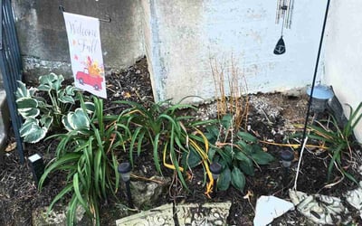Photo of Kathy H.'s yard after getting landscaping in Taylorsville, KY