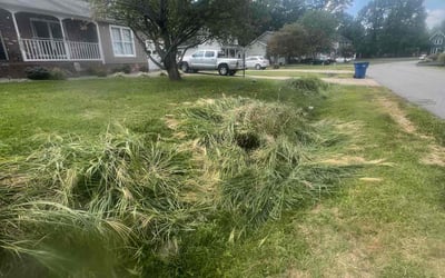 Photo of Shirley S.'s yard after getting landscaping in Elkwood, VA