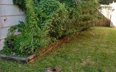 Photo of James L.'s yard after getting landscaping in Kemah, TX