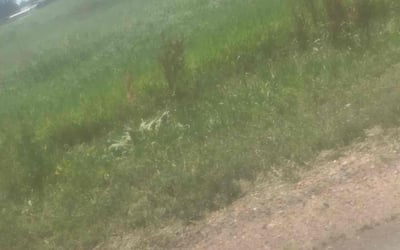 Photo of Stevie B.'s yard after getting landscaping in Grand Junction, CO