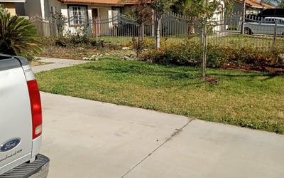 Photo of Melissa R.'s yard after getting landscaping in Palm Desert, CA