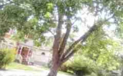 Photo of Theresa S.'s yard after getting landscaping in Matheson, CO