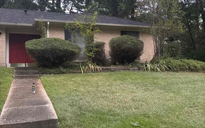 Photo of Steve k.'s yard after getting tree care in New Orleans, LA