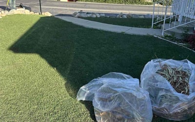 Photo of Kathy M.'s yard after getting landscaping in Rancho Cucamonga, CA