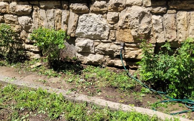 Photo of Jim M.'s yard after getting landscaping in Lexington, MO
