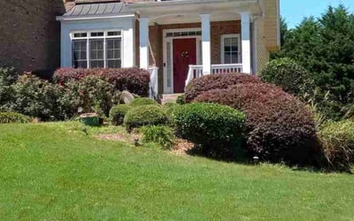Photo of Vince S.'s yard after getting tree care in Cumming, GA