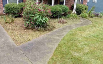 Photo of Tunisia M.'s yard after getting lawn care in Dallas, GA