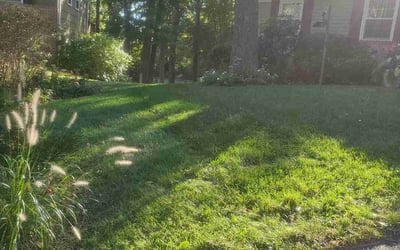 Photo of Michael F.'s yard after getting landscaping in Davidsonville, MD