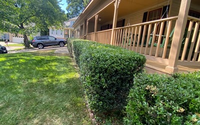 Photo of Liz M.'s yard after getting landscaping in Andrews Air Force Base, MD