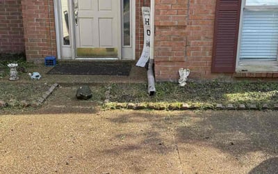 Photo of Sarah P.'s yard after getting tree care in Knoxville, TN