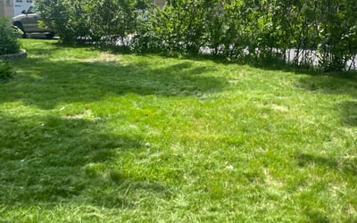 Photo of Brian M.'s yard after getting landscaping in Lakeland, MN