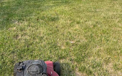 Photo of Morgan W.'s yard after getting landscaping in Rapidan, VA