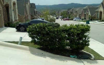 Photo of Francisco R.'s yard after getting landscaping in Adkins, TX