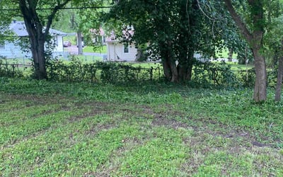 Photo of Leslie B.'s yard after getting landscaping in Rich Hill, MO