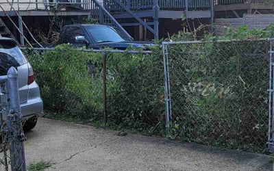 Photo of Laura M.'s yard after getting landscaping in Upperville, VA