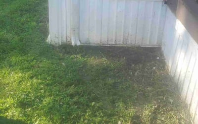 Photo of Christine S.'s yard after getting landscaping in Mc Cordsville, IN