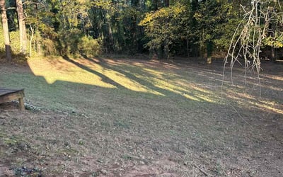 Photo of Janice H.'s yard after getting landscaping in Jasper, GA