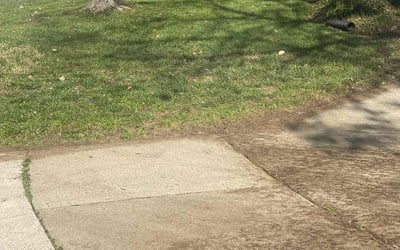 Photo of Janet C.'s yard after getting landscaping in Fuquay Varina, NC