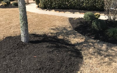 Photo of Devon C.'s yard after getting landscaping in Industry, TX