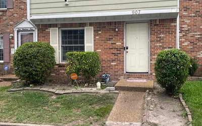 Photo of Richard Y.'s yard after getting tree care in Chesapeake, VA