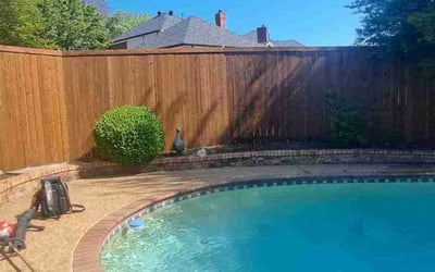 Photo of Katelyn S.'s yard after getting landscaping in Rowlett, TX