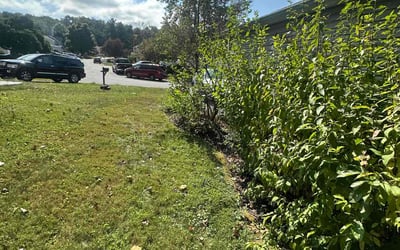 Photo of Nate W.'s yard after getting landscaping in Feasterville Trevose, PA