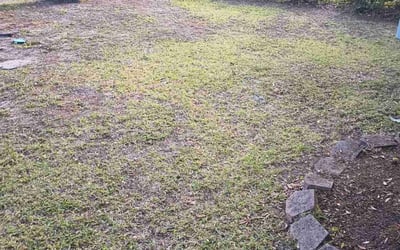 Photo of Ryan R.'s yard after getting landscaping in Jay, FL