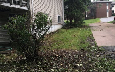 Photo of Brian L.'s yard after getting landscaping in Spring Hill, KS
