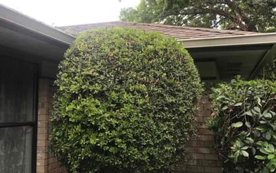 Photo of Allison J.'s yard after getting landscaping in Cedar Hill, TX