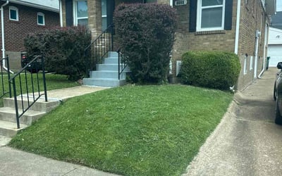 Photo of Phil S.'s yard after getting landscaping in East Saint Louis, IL