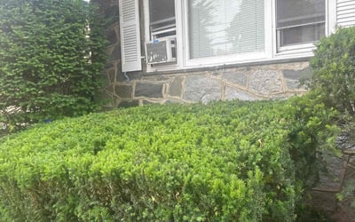 Photo of Laura M.'s yard after getting lawn care in Newton, NJ