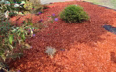 Photo of Julia M.'s yard after getting landscaping in Winters, CA
