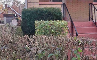 Photo of Richard H.'s yard after getting landscaping in Mcdonald, PA