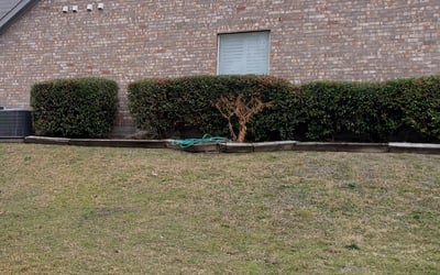 Photo of Raelee M.'s yard after getting landscaping in Palmer, TX