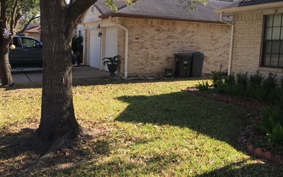 Photo of Ashley C.'s yard after getting landscaping in San Felipe, TX
